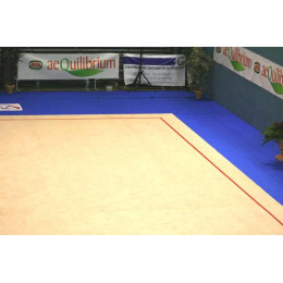 Тренировочный ковер 10х10м (гимнастический)