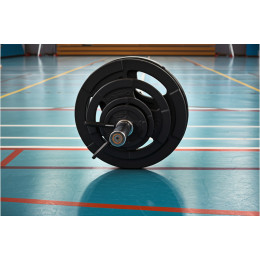 Штанга тренировочная 51 мм 100 кг С металлическими дисками